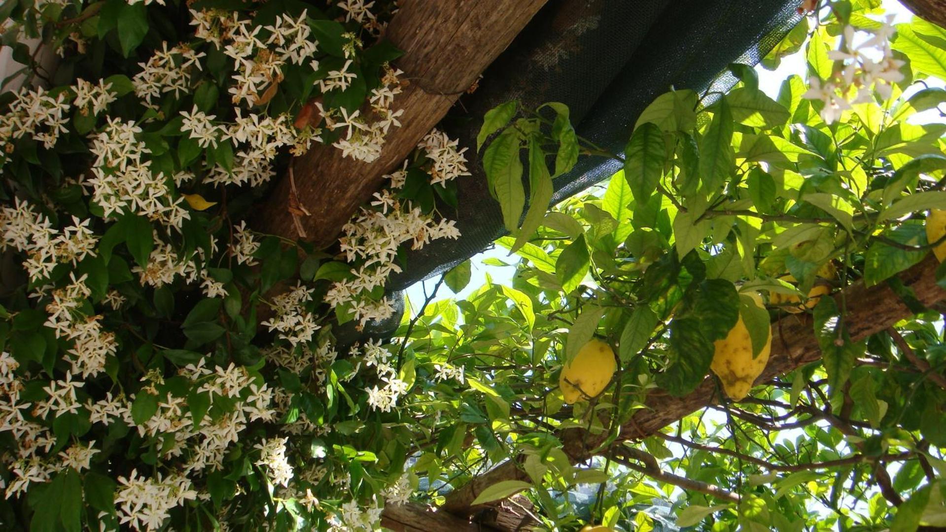Villa Rina Amalfi Zewnętrze zdjęcie